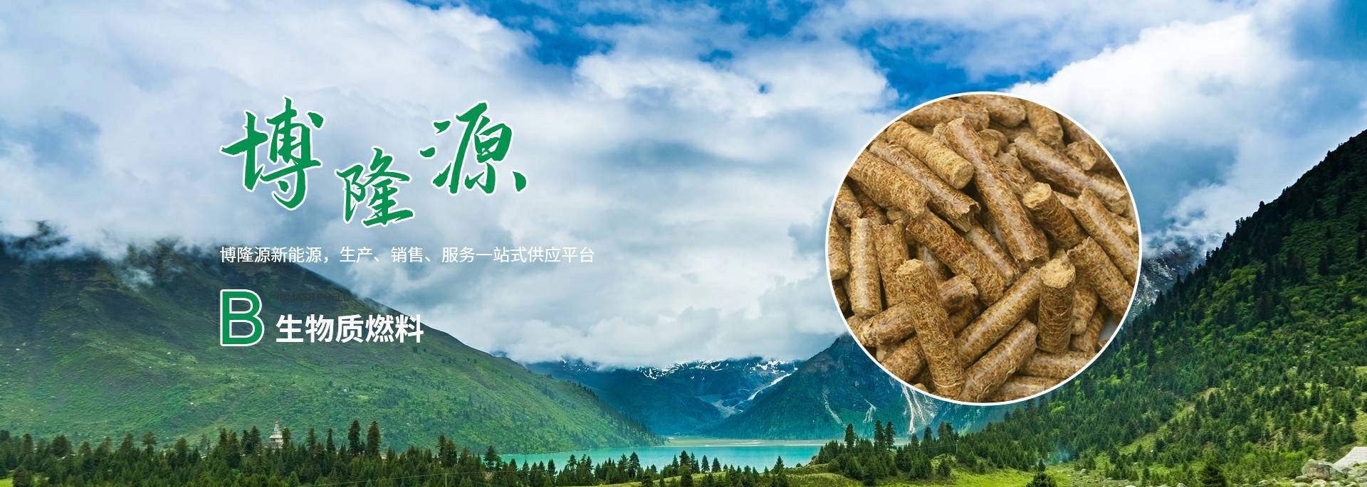 陝西生物(wù)質(zhì)燃料生産(chǎn)